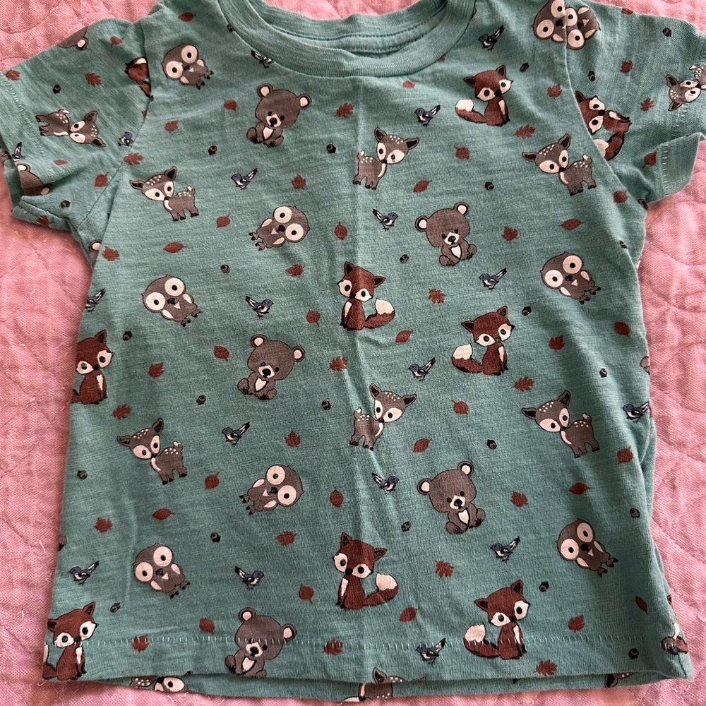 Adorable print peek brand tee shirt size 18-24 months